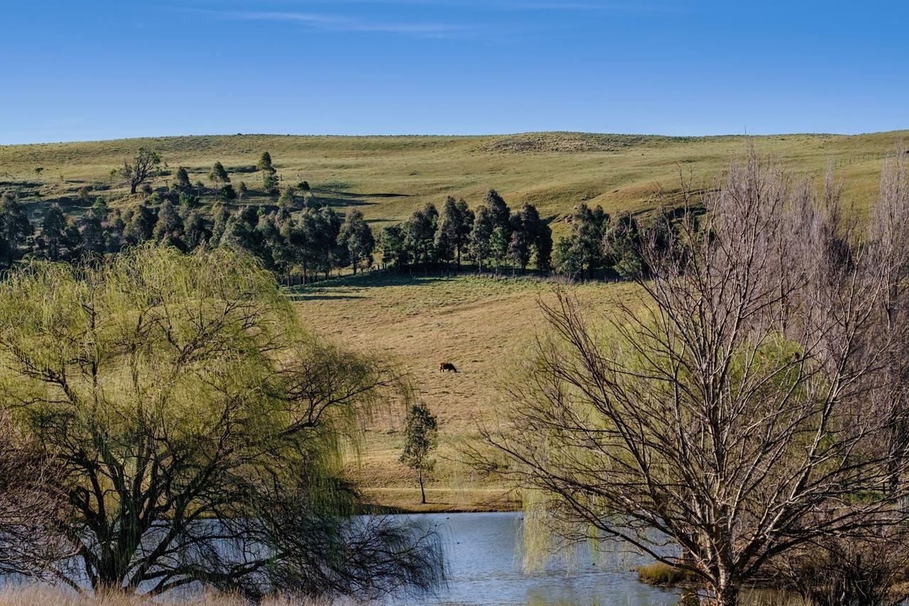 Bendooley Estate Ξενοδοχείο Berrima Εξωτερικό φωτογραφία